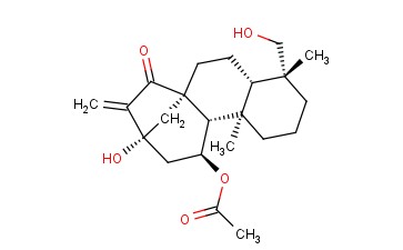 ROSTHORNIN A