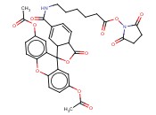 5(6)-羧基<span class='lighter'>二</span>乙酸荧光素琥珀<span class='lighter'>酰</span><span class='lighter'>亚胺</span>酯