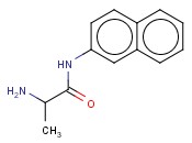 L-丙氨酰-2-<span class='lighter'>萘</span><span class='lighter'>胺</span>