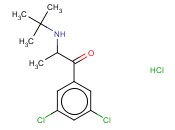 <span class='lighter'>BUPROPION</span> RELATED COMPOUND