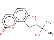 <span class='lighter'>吗</span><span class='lighter'>啉</span>,4-(3-<span class='lighter'>甲基</span>-3-丁烯基)- (9CI)