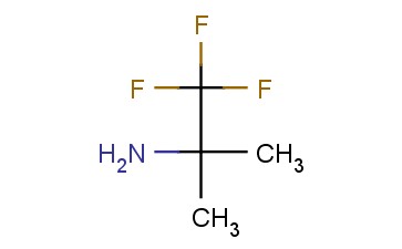 2,2,2-TRIFLUORO-1,1-DIMETHYL-ETHYLAMINE