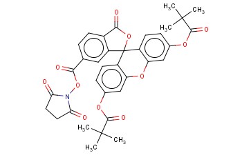 5,6-CARBOXYFLUORESCEIN DIPIVALATE SUCCINIMIDE ESTER