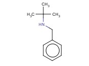 苄基<span class='lighter'>叔</span><span class='lighter'>丁</span>胺