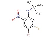 4-溴-N-(叔丁基)-5-<span class='lighter'>氟</span>-2-硝基-<span class='lighter'>苯胺</span>