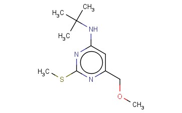 BUTTPARK 6\01-<span class='lighter'>100</span>