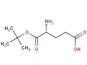 D-<span class='lighter'>谷氨酸</span>叔丁酯