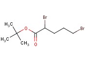2,5-<span class='lighter'>二</span>溴戊酸<span class='lighter'>叔</span><span class='lighter'>丁</span><span class='lighter'>酯</span>