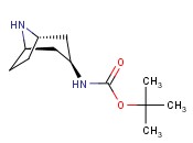 ENDO-3-(BOC-AMINO)-8-AZABICYCLO[3.2.1]OCTANE