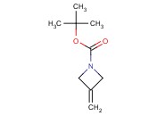 1-BOC-3-亚甲基<span class='lighter'>氮</span><span class='lighter'>杂</span><span class='lighter'>环</span><span class='lighter'>丁烷</span>