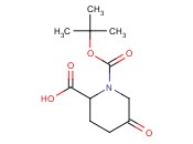 N-叔<span class='lighter'>丁</span><span class='lighter'>氧</span><span class='lighter'>羰基</span>-DL-焦<span class='lighter'>谷氨酸</span>