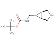EXO-6-(<span class='lighter'>BOC-AMINOMETHYL</span>)-3-AZABICYCLO[3.1.0]HEXANE