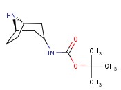 TERT-BUTYL 8-AZA-BICYCLO[3.2.1]OCTAN-3-YLCARBAMATE