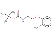 2-(2-<span class='lighter'>氨基</span><span class='lighter'>苯</span>氧基乙胺基)甲酸<span class='lighter'>叔</span><span class='lighter'>丁</span><span class='lighter'>酯</span>