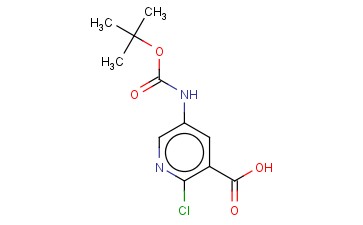 5-叔丁氧羰基<span class='lighter'>氨基</span>-2-氯<span class='lighter'>吡啶</span>-3-<span class='lighter'>羧酸</span>
