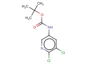 5,6-<span class='lighter'>二</span>氯吡啶-3-氨基甲酸<span class='lighter'>叔</span><span class='lighter'>丁</span><span class='lighter'>酯</span>