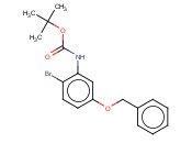 N-[2-溴-5-(<span class='lighter'>苯</span>甲氧基)苯基]<span class='lighter'>氨基</span>甲酸<span class='lighter'>叔</span><span class='lighter'>丁</span><span class='lighter'>酯</span>