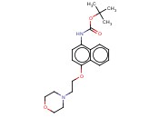 叔丁氧羰基-4-(2-吗啉乙氧基)<span class='lighter'>萘</span>-1-<span class='lighter'>胺</span>