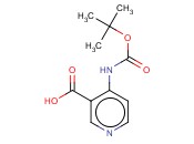 4-[(<span class='lighter'>叔</span><span class='lighter'>丁</span><span class='lighter'>氧</span><span class='lighter'>羰基</span>)<span class='lighter'>氨基</span>]烟酸