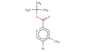 <span class='lighter'>TERT-BUTYL</span> <span class='lighter'>4-AMINO-5-BROMOPYRIDINE-2-CARBOXYLATE</span>