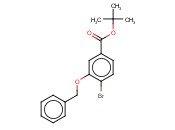 3-<span class='lighter'>苄</span>氧基-4-<span class='lighter'>溴</span>苯甲酸叔丁酯