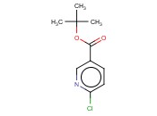 6-<span class='lighter'>氯</span><span class='lighter'>烟酸</span>叔丁酯
