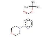 2-(4-吗啉基)-<span class='lighter'>吡啶</span>-4-<span class='lighter'>羧酸</span><span class='lighter'>叔</span><span class='lighter'>丁</span><span class='lighter'>酯</span>