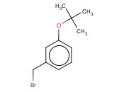 <span class='lighter'>1-BROMOMETHYL-3-TERT-BUTOXY-BENZENE</span>