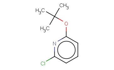 <span class='lighter'>2-TERT-BUTOXY-6-CHLOROPYRIDINE</span>