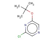 2-(TERT-BUTOXY)-6-<span class='lighter'>CHLOROPYRAZINE</span>