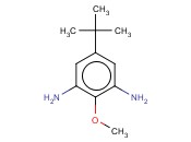 4-叔丁基-2,6-二氨基<span class='lighter'>苯甲醚</span>