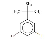 1-BROMO-3-TERT-BUTYL-5-FLUOROBENZENE