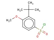 3-<span class='lighter'>TERT</span>-BUTYL-4-METHOXY-BENZENESULFONYL CHLORIDE