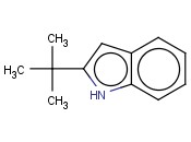2-<span class='lighter'>叔</span><span class='lighter'>丁基</span>-<span class='lighter'>1H-</span><span class='lighter'>吲哚</span>