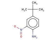 4-<span class='lighter'>叔</span><span class='lighter'>丁基</span>-2-硝基苯胺