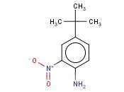 4-叔<span class='lighter'>丁基</span>-2-硝基苯胺