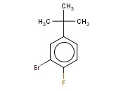 2-<span class='lighter'>溴</span>-4-<span class='lighter'>叔</span><span class='lighter'>丁基</span>-1-<span class='lighter'>氟</span><span class='lighter'>苯</span>