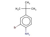 2-<span class='lighter'>溴</span>-4-叔丁基<span class='lighter'>苯胺</span>