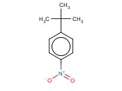 <span class='lighter'>4-NITRO-TERT-BUTYLBENZENE</span>
