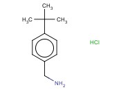 4-<span class='lighter'>叔</span><span class='lighter'>丁基</span><span class='lighter'>苄</span><span class='lighter'>胺</span>