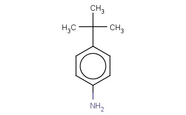 4-<span class='lighter'>叔</span><span class='lighter'>丁基</span><span class='lighter'>苯胺</span>