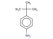 4-叔<span class='lighter'>丁基</span>苯胺