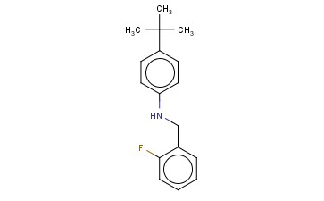 N-(4-TERT-BUTYLPHENYL)-<span class='lighter'>2-FLUOROBENZYLAMINE</span>