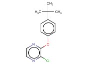 2-(4-TERT-BUTYLPHENOXY)-3-<span class='lighter'>CHLOROPYRAZINE</span>