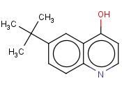 6-叔丁基-4-<span class='lighter'>羟基</span><span class='lighter'>喹啉</span>