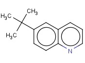 6-(1,1-二甲基乙基)<span class='lighter'>喹啉</span>