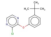 2-(3-TERT-BUTYLPHENOXY)-3-<span class='lighter'>CHLOROPYRAZINE</span>