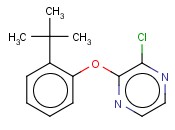 2-(2-TERT-BUTYLPHENOXY)-3-<span class='lighter'>CHLOROPYRAZINE</span>