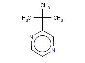 2-叔丁基<span class='lighter'>吡</span><span class='lighter'>嗪</span>