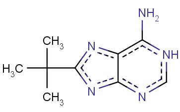 8-叔-丁基-7H-<span class='lighter'>嘌呤</span>-6-胺